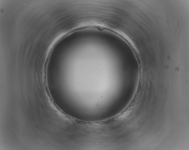 X0000077370815200611031909