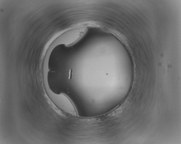 X0000077370816200611031909