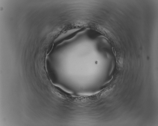 X0000077370817200611031909