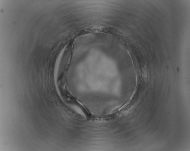 X0000077370818200611031909