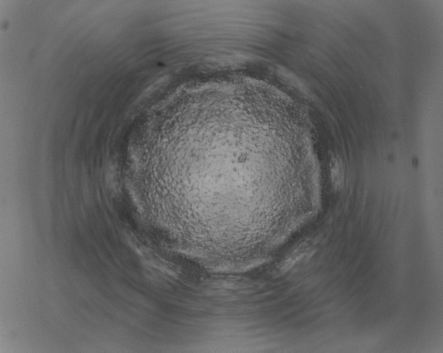 X0000077370819200611031909