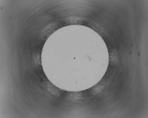 X0000077370820200611031909