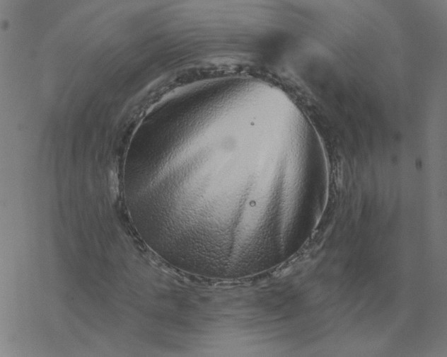 X0000077370821200611031909