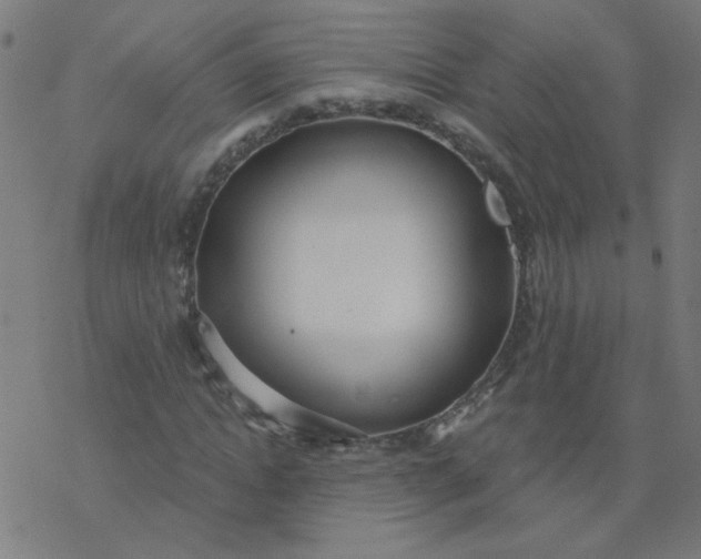 X0000077370822200611031909