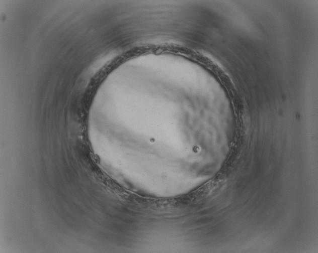 X0000077370823200611031909