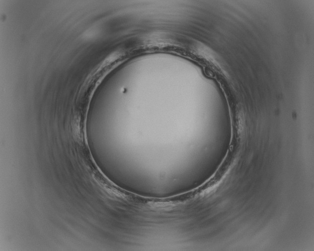 X0000077370825200611031909