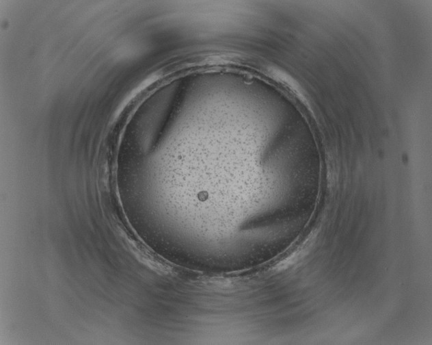 X0000077370827200611031909