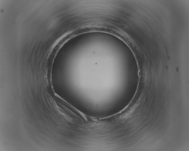 X0000077370830200611031909