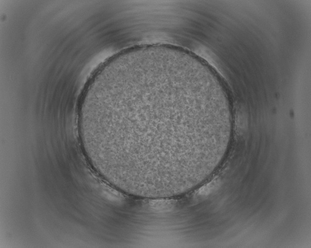 X0000077370832200611031909