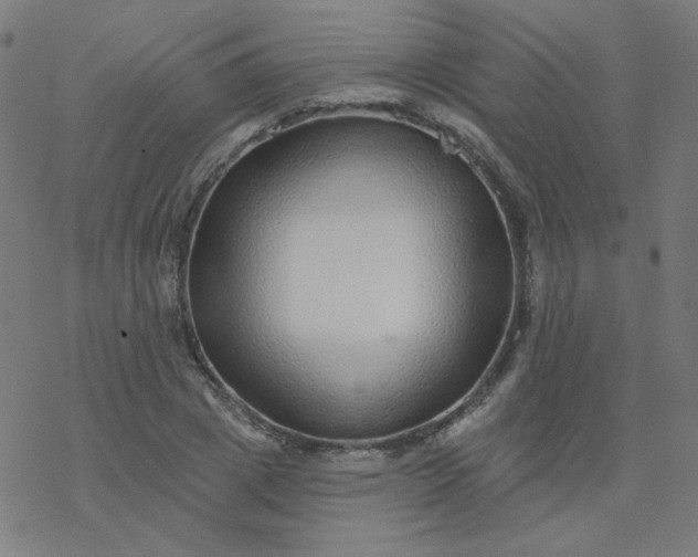 X0000077370833200611031909