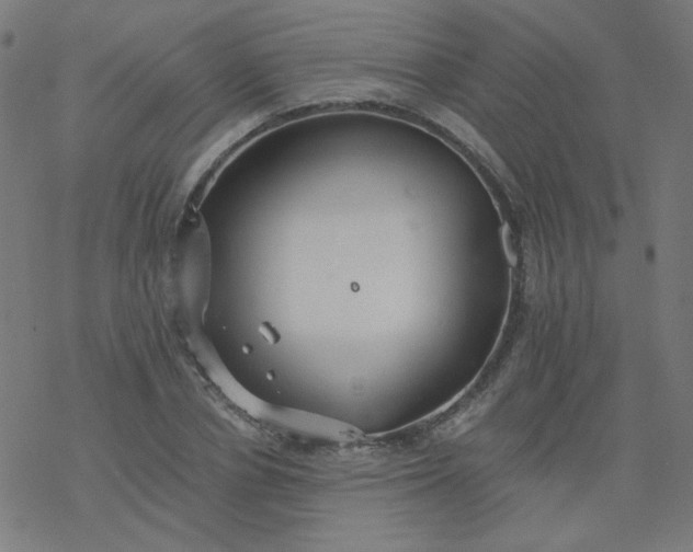 X0000077370834200611031909