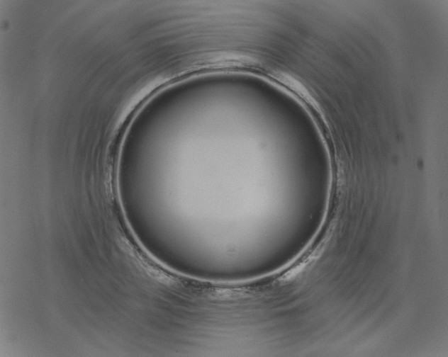 X0000077370835200611031909