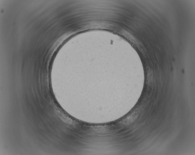 X0000077370836200611031909