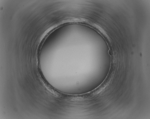 X0000077370837200611031909