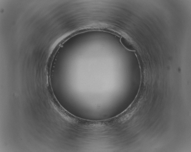 X0000077370838200611031909