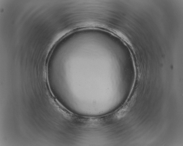 X0000077370839200611031909