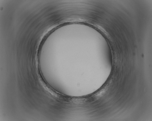 X0000077370840200611031909