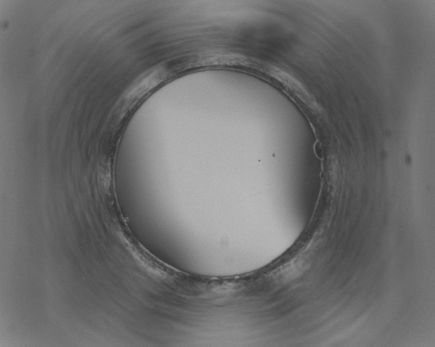 X0000077370841200611031909