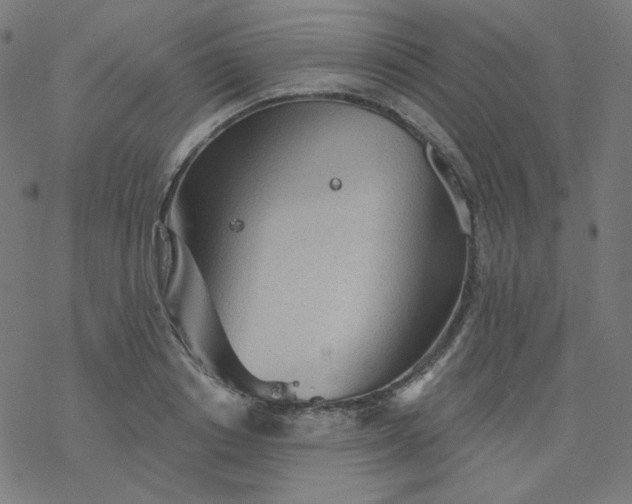 X0000077370842200611031909