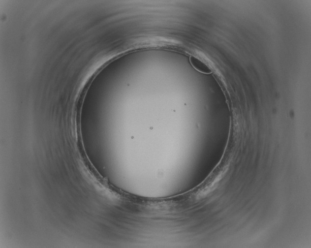 X0000077370843200611031909