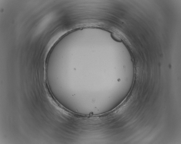 X0000077370844200611031909