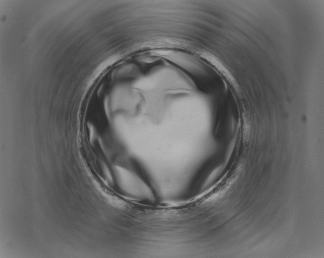 X0000077370845200611031909