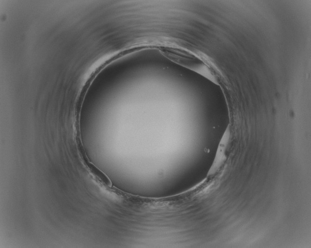 X0000077370846200611031909