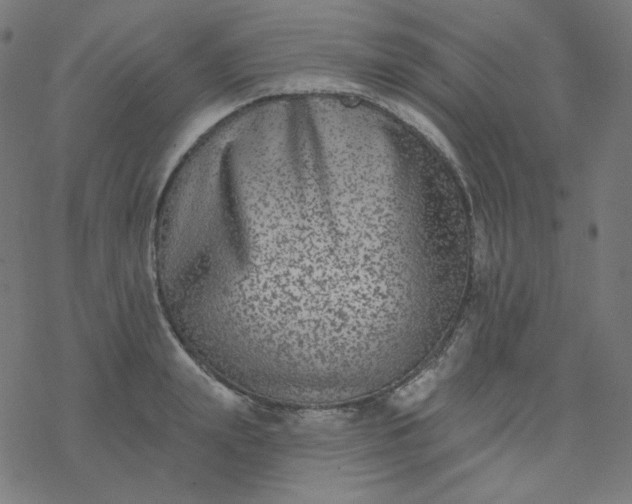 X0000077370847200611031909