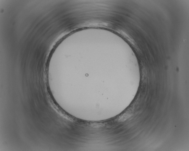 X0000077370848200611031909