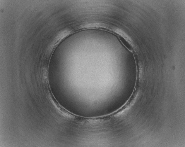 X0000077370849200611031909