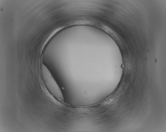 X0000077370852200611031909