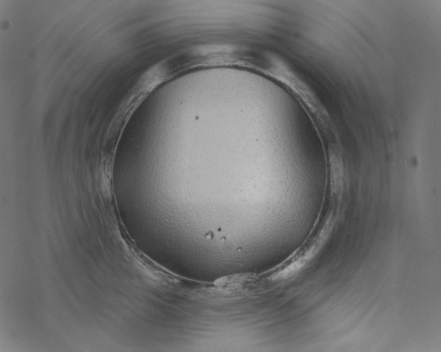 X0000077370857200611031909