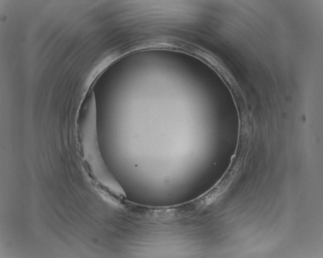 X0000077370858200611031909