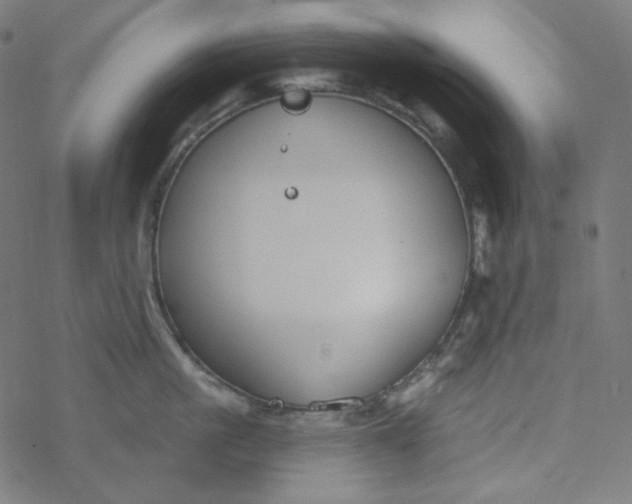 X0000077370861200611031909