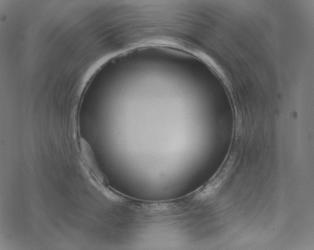 X0000077370862200611031909