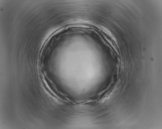 X0000077370863200611031909