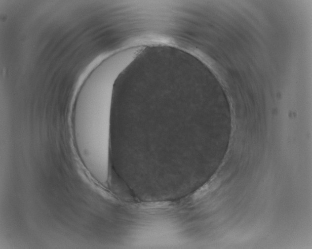 X0000077370864200611031909