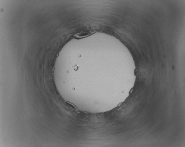 X0000077370865200611031909