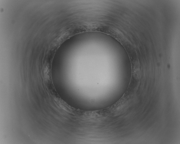 X0000077370866200611031909