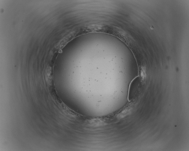 X0000077370867200611031909