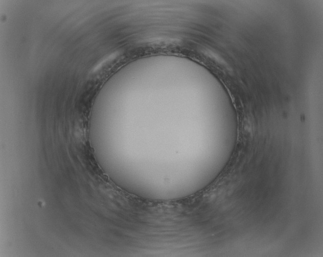 X0000077370869200611031909