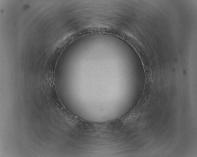 X0000077370870200611031909