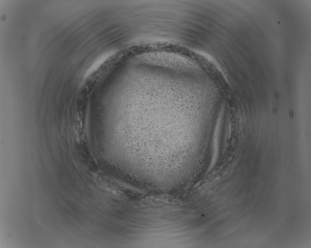 X0000077370871200611031909