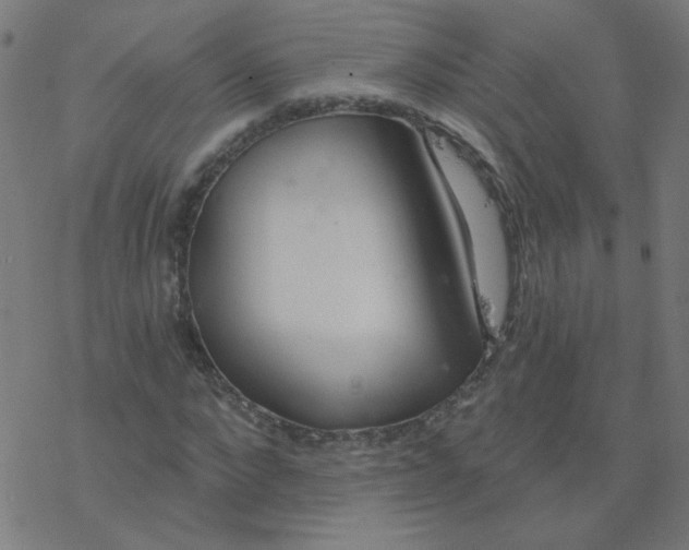 X0000077370872200611031909