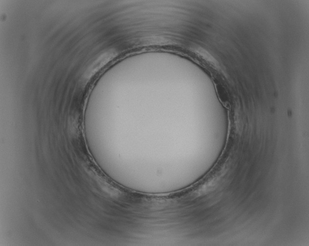 X0000077370873200611031909