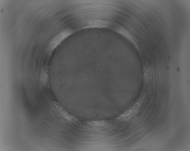 X0000077370874200611031909