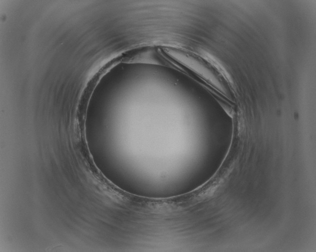 X0000077370876200611031908