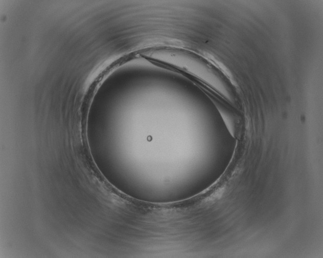 X0000077370877200611031908