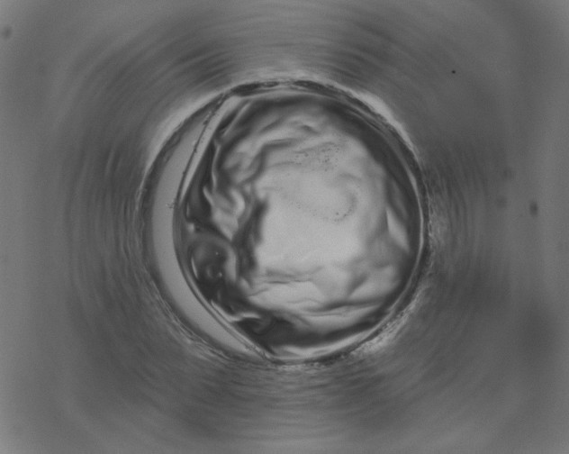 X0000077370879200611031908