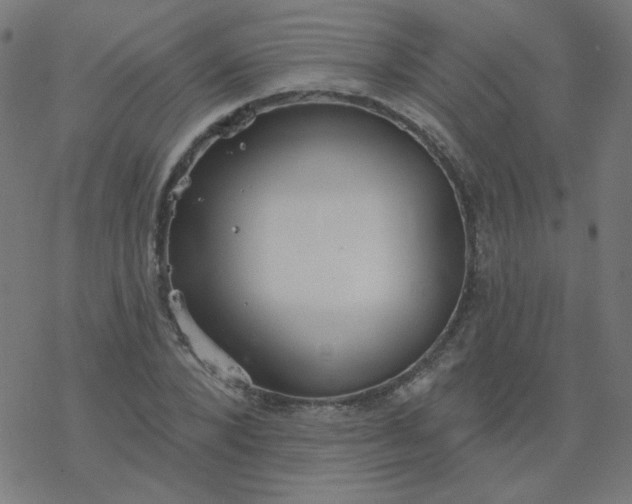 X0000077370880200611031908